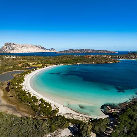 Isa-apartments With Air Conditioning And Private Outdoor Space In Lejlighed San Teodoro (Sardinia)